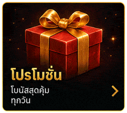 โปรโมชั่นพิเศษ